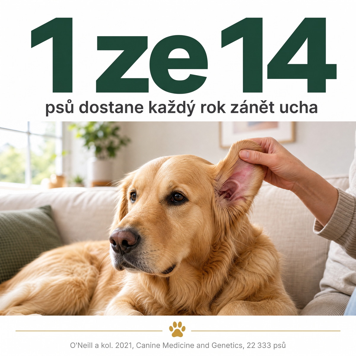 Čistič uší pro psy a kočky